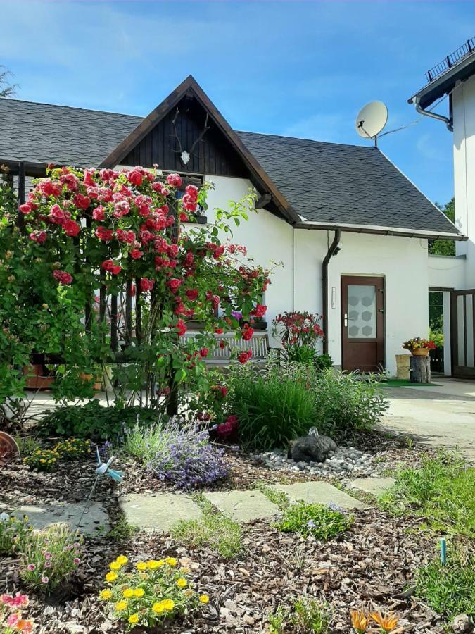 Ferienhaus Schoene Hohnstein Exteriör bild